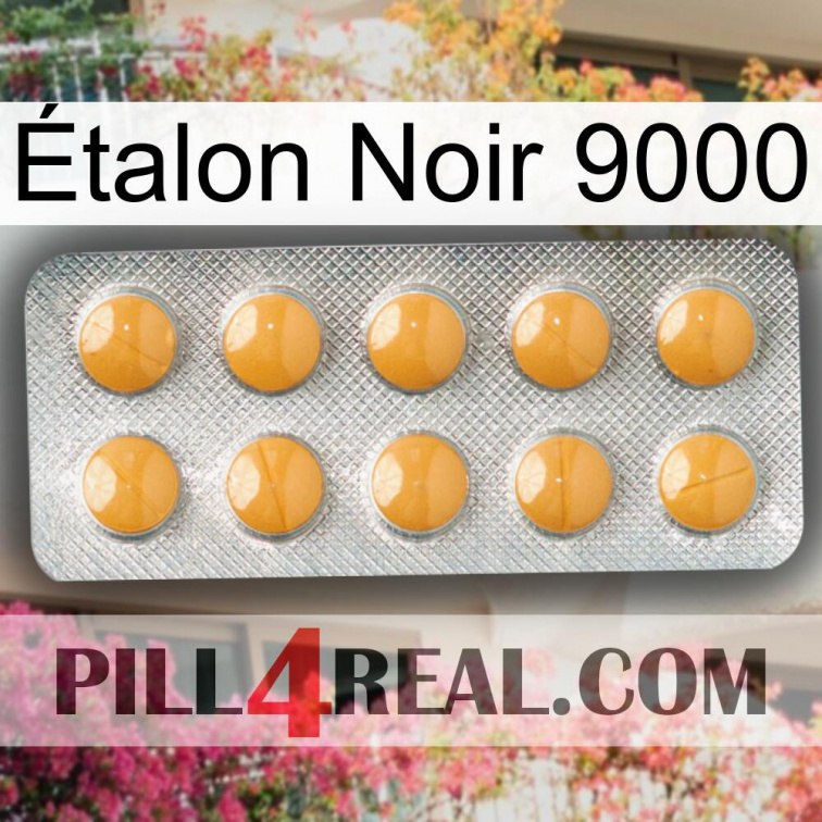 Étalon Noir 9000 levitra1